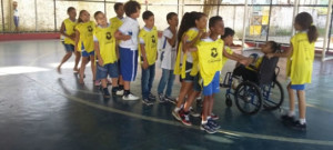 inclusao